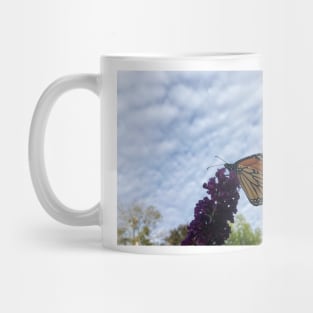 Monarch Butterfly Mug